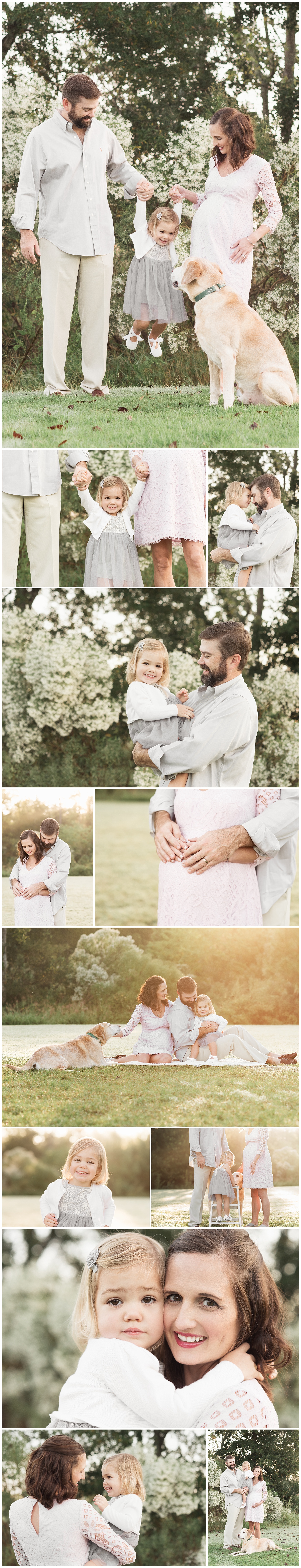 Sunrise maternity photography Houston with toddler and lab