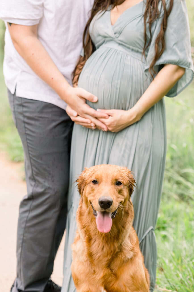 dog in  your maternity session