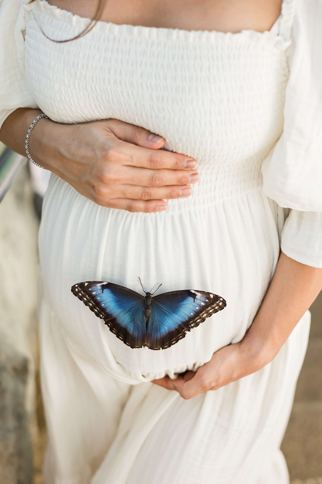 Details of a blue butterfly resting on the pregnant bump of a mother to be in a white maternity dress